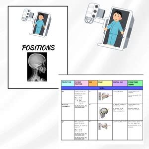 X Ray Radiography Positioning Arrt Boards Exam Study Guide Digital