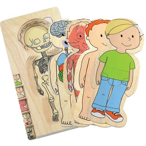 Limited Availability Your Body Layer Puzzle Boy Hape Playwell