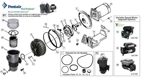 Wiring Diagram for Pentair Pumps