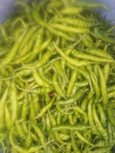 A Grade Green Chilli Pan India Packaging Size 5 Kg At Rs 80 Kilogram