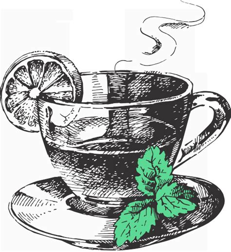 Чай рисунок карандашом (41 фото) » Рисунки для срисовки и не только