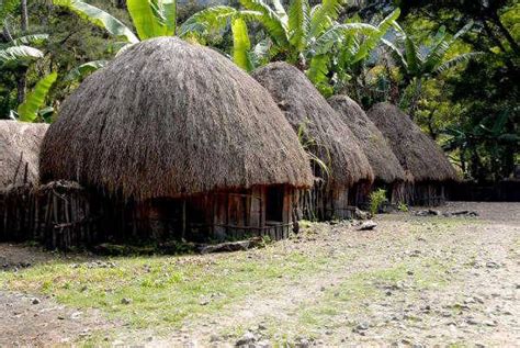 Contoh Kumpulan Rumah Adat Provinsi Papua Rumah Honai Desain Interior ...