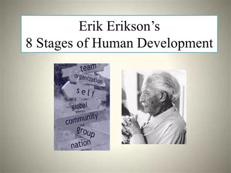 PPT Erik Eriksons 8 Stages Of Human Development PowerPoint