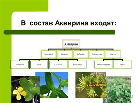 Презентация на тему: "Спрей «Аквирин РИНО» - гигиеническое средство для ...