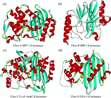 Overall Structure Of Representative β Lactamases From A B C And D