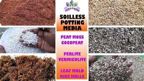 Soilless Mix Recipe | Dandk Organizer