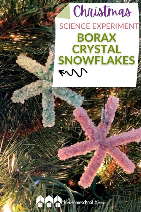 Christmas Science Experiment Borax Crystal Snowflakes