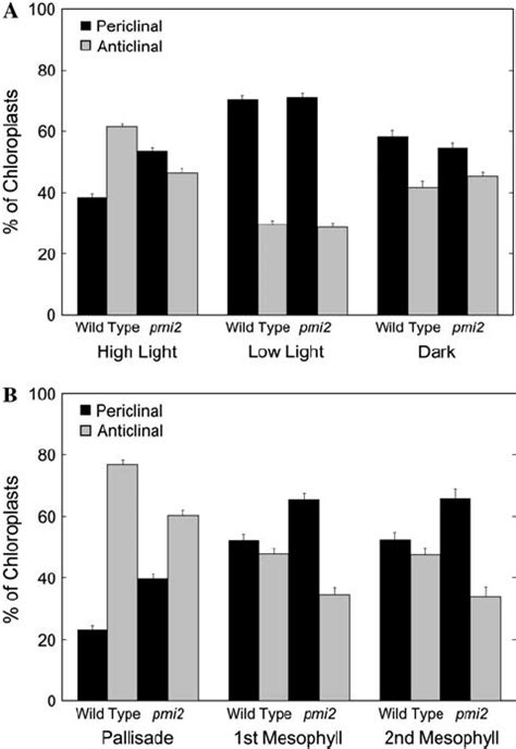 Chloroplast distribution in mesophyll cells. A, Average distribution of ...