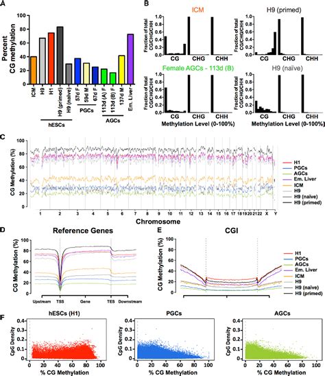 DNA demethylation | Semantic Scholar