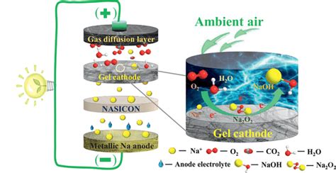 Schematic Diagram Of Quasi‐solid‐state Na‐air Battery Download Scientific Diagram