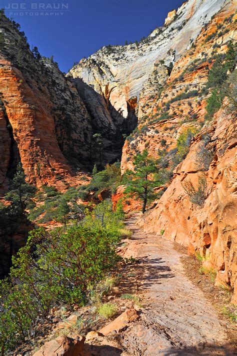 East Rim Trail Photos Page 3 Joes Guide To Zion National Park