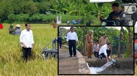 Cek Pompa Air Hingga Turun Ke Tengah Sawah Presiden Jokowi Di Sangiran