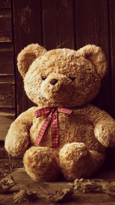 Teddy Bear Ka Alone Hd Phone Wallpaper Pxfuel