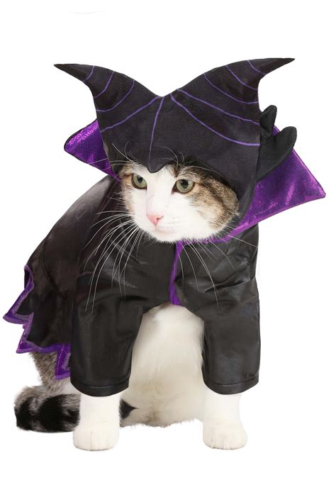 maleficent dog costume