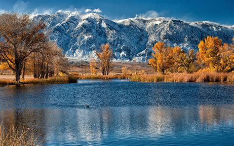 Download University Of Colorado At Boulder Autumn Wallpaper