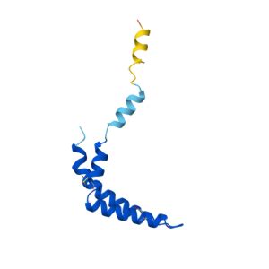 Uqcrh Gene Genecards Qcr Protein Qcr Antibody