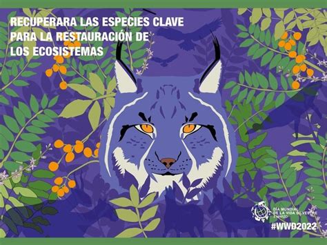 Área de Medio Ambiente de UGTCyL Día Mundial de la vida silvestre