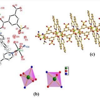 A Coordination Environment For The Zn Ii Ions In B Views Of The