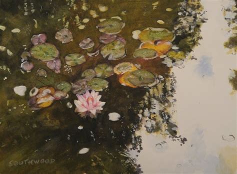 Water Lily flowering - original painting from Paint and Ashes