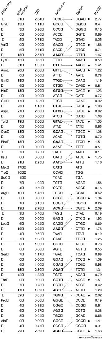 Trna Gene Number And Codon Usage In The C Elegans Genome Are Co