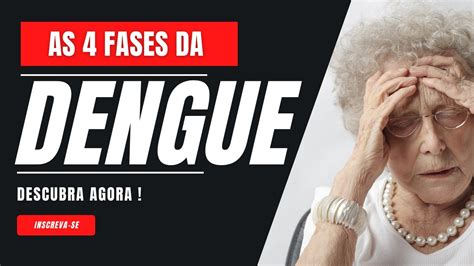 AS 4 FASES DA DENGUE DESCUBRA AGORA Dengue Aedesaegypti