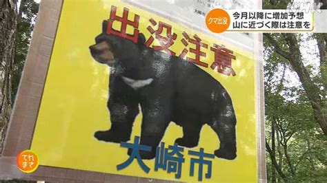 クマ出没 6月以降平年より増える予想 注意を｜nhk 宮城県のニュース