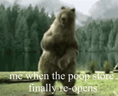 Poop Store Bear Dancing  Poop Store Bear Dancing Bear Discover