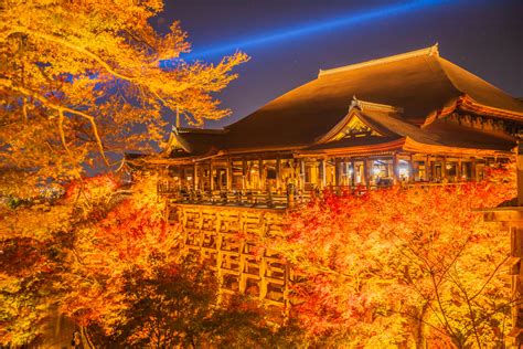 清水寺紅葉ライトアップの見どころとアクセス方法をご紹介 Veltra旅行ガイド