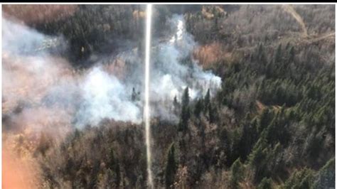 Fire Advisory Issued For Grande Prairie Forest Area As Danger Raises To High Everythinggp