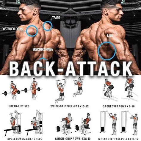 Back Exercises Attack Huge Back And Training Programs Back Exercises