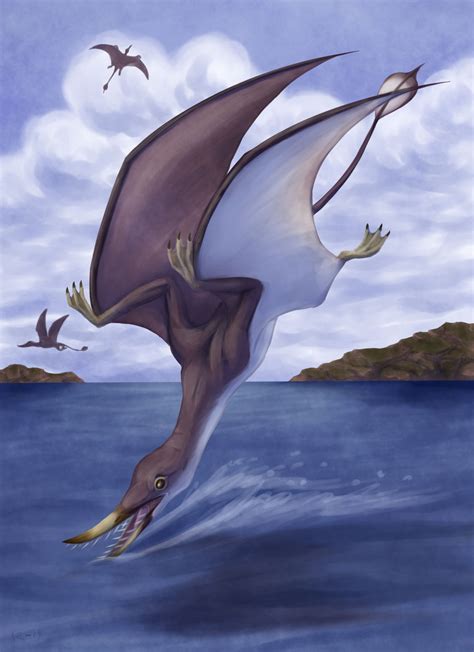 Rhamphorhynchus By Bjekkergauken On Deviantart