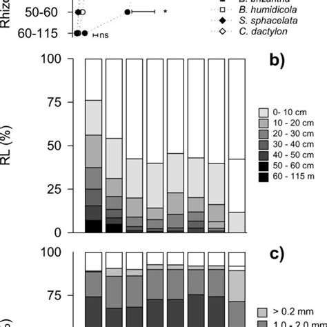 Vertical Root Distribution At Harvest Root Length Density Rld A