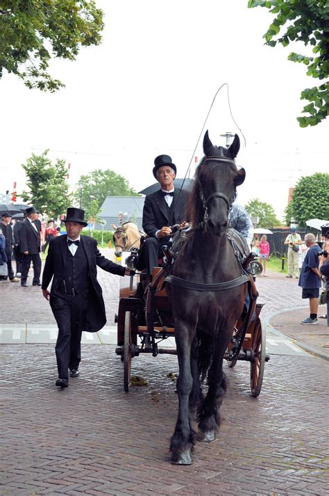 Horse And Carriage Free Stock Photo Public Domain Pictures