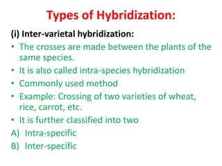 Hybridization | PPT