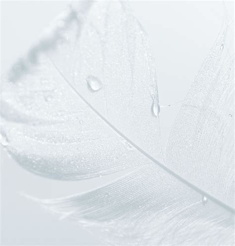 Soft Contact Lens Multi Purpose Saline Solutions
