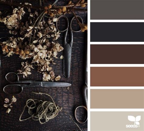 Get Inspired For Farbpalette Welche Farbe Passt Zu Braun Wandfarbe 9