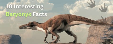 10 Interesting Baryonyx Facts - JellyQuest