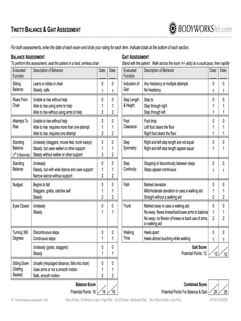 Tinetti Balance Test - Fill Online, Printable, Fillable, Blank | pdfFiller