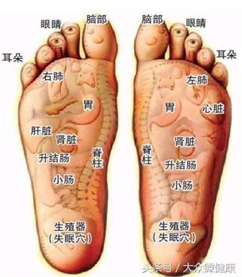 中医养生：跺跺脚就可以刺激穴位，坚持1个月，6大好处不请自来 每日头条