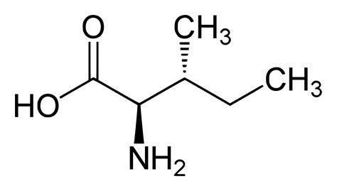 Isoleucine – NutraWiki