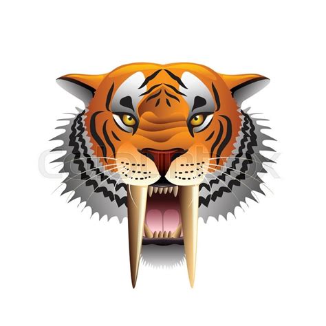 Saber Toothed Tiger Face Isolated On Stock Vector Colourbox