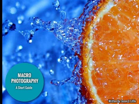 Short Guide To Macro Photography