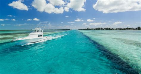 Bahamas Fishing Guide: Why the Bahamas has the Worlds best Fishing