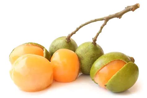 12 Health Benefits Of Guinep Fruit You Must Know