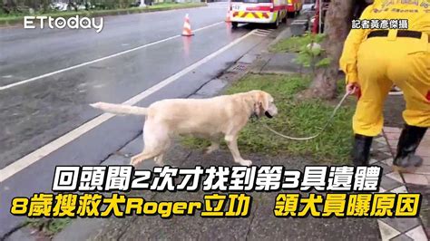 回頭聞2次才找到第3具遺體！8歲搜救犬roger立功 領犬員曝原因 ｜花蓮地震｜砂卡礑步道 Youtube