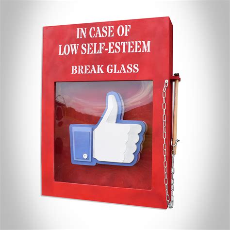 Break Glass (Installation) Street Art Canvas by The Rebel Bear