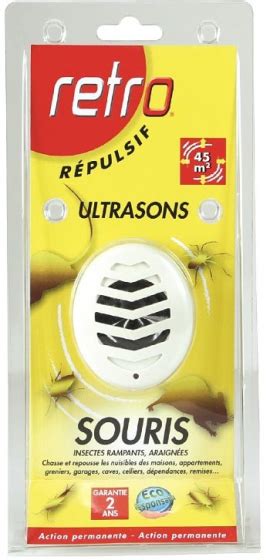 Retro R Pulsif Ultrasons Souris Insectes Rampants Araign Es X Sojam