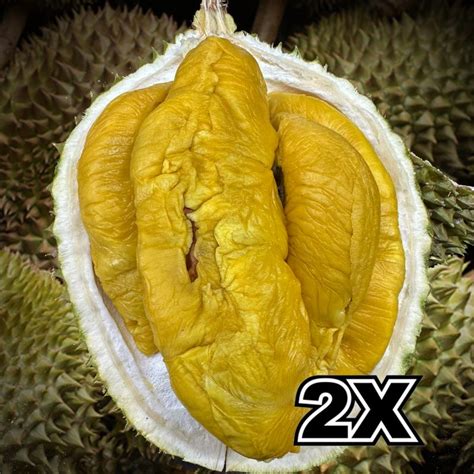 Tiger Black Gold Bundle Deal Musang King Mao Shan Wang Msw Durian Sg Prime