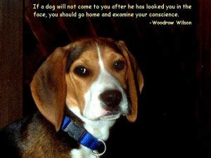 Hound Quotes. QuotesGram