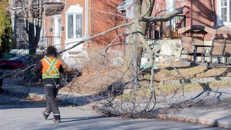 Quebecers weather 2nd day without electricity after windstorm | CBC News